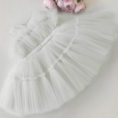 Tulle and lace Tiered Princess Dress