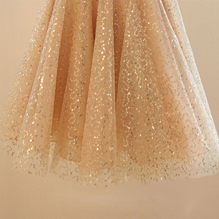 Shiny Lace Children's Party Dress