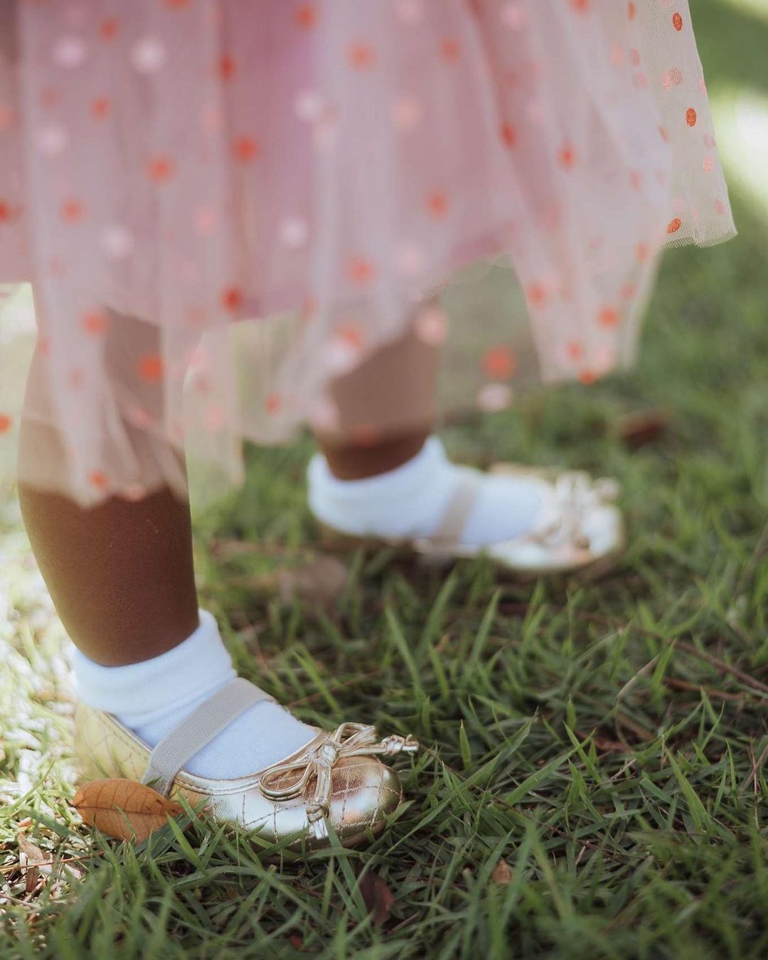 Butterfly Princess Dress