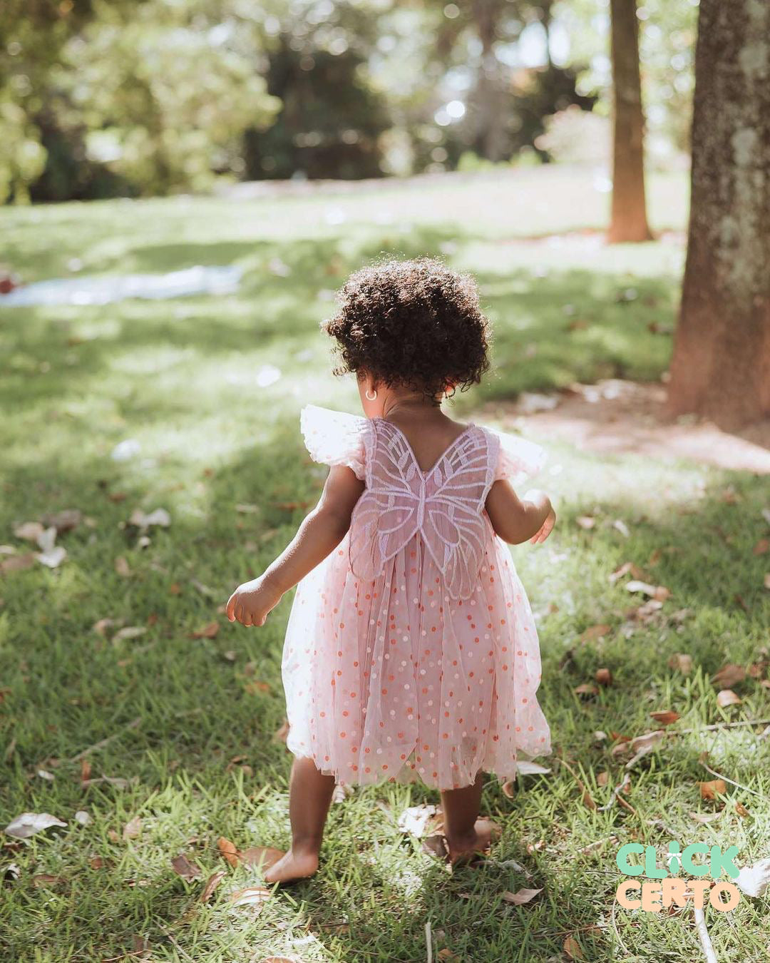 Butterfly Princess Dress