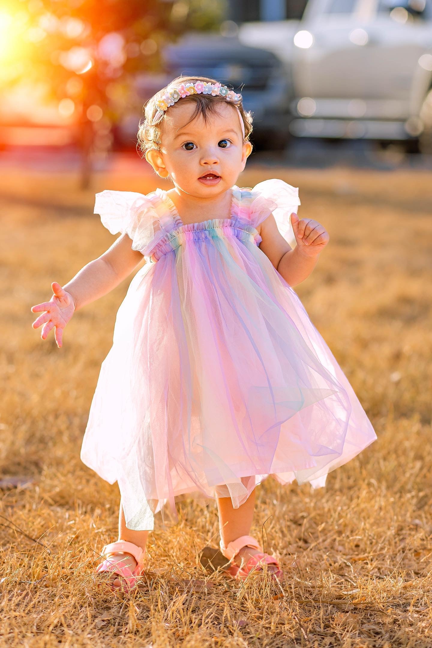 Children's colorful tulle dress with butterfly wings