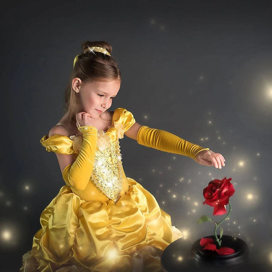 Princess Belle Party Dress