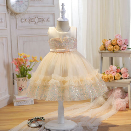 Children's Party Dress Shiny Tulle Lace