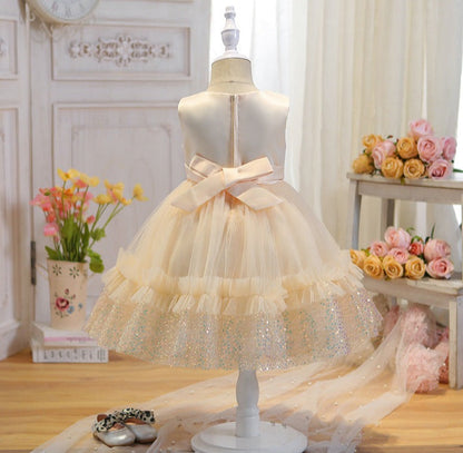 Children's Party Dress Shiny Tulle Lace