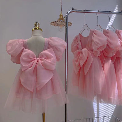 Children's Pink Tulle Lace Dress