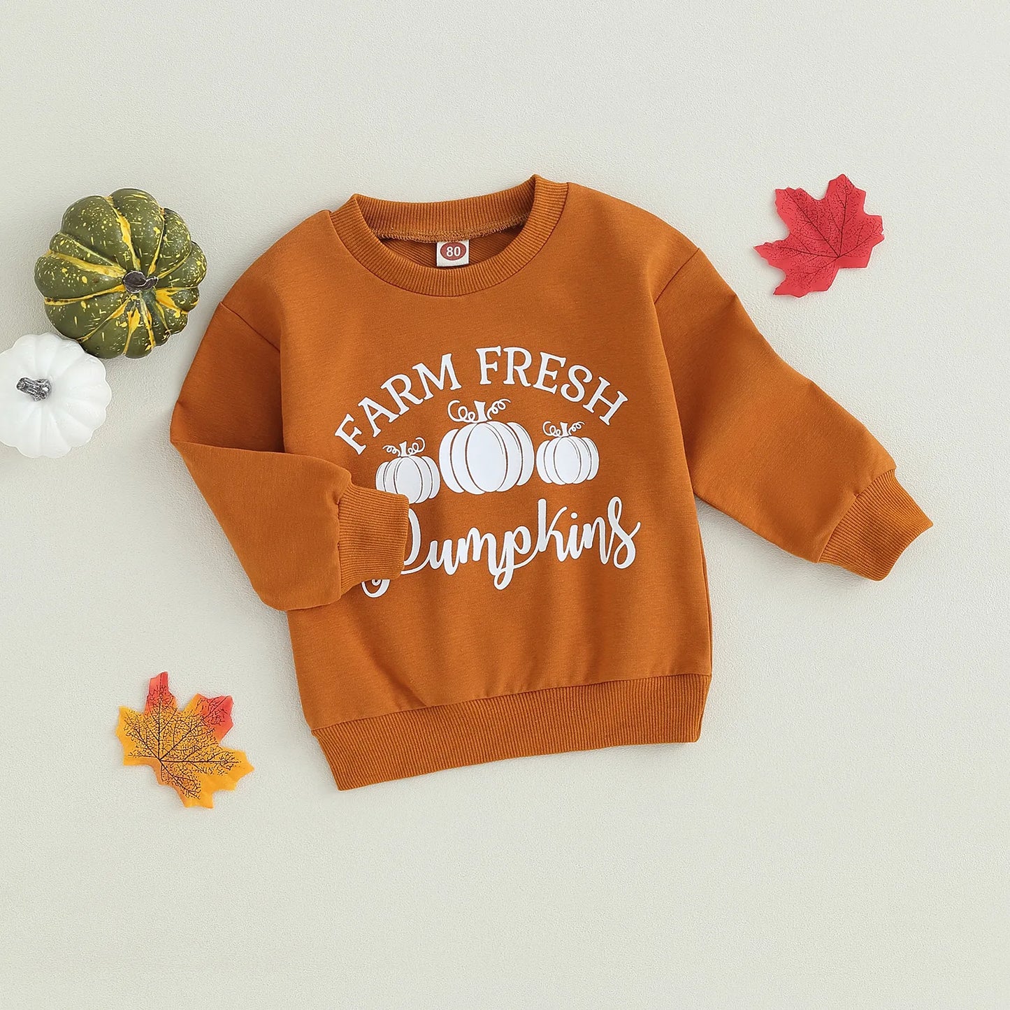 Sweatshirt, Long Sleeve Pumpkin Print