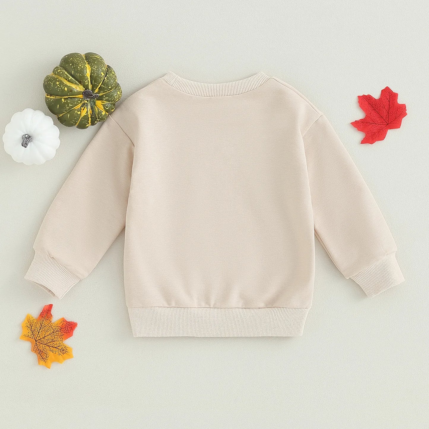 Sweatshirt, Long Sleeve Pumpkin Print