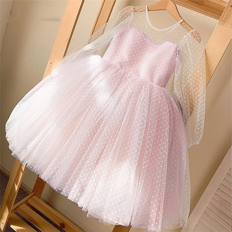 Delicate Children's Dress With Lace