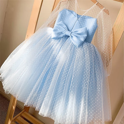 Delicate Children's Dress With Lace