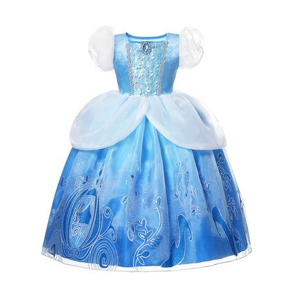 Princess Cinderella Party Dress