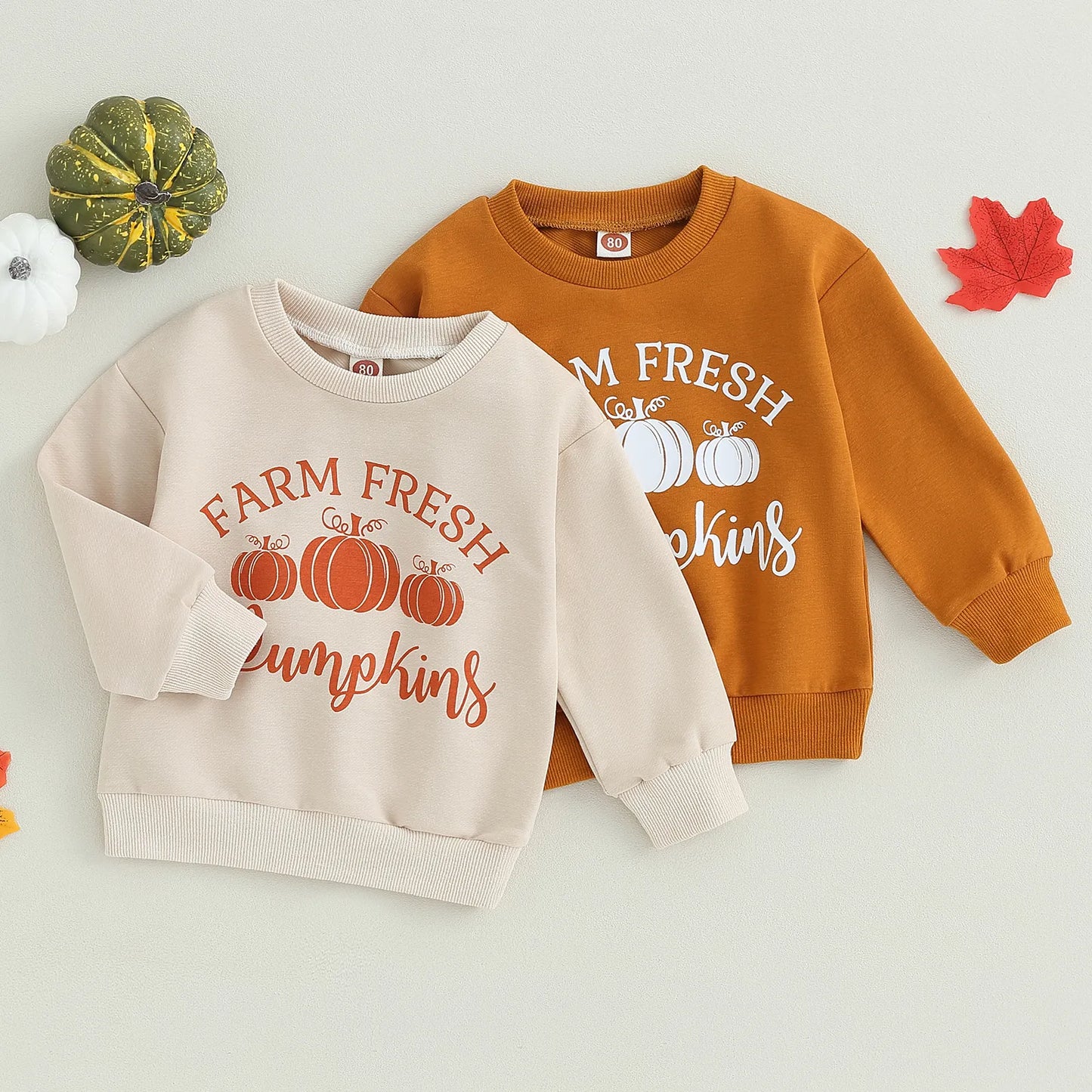 Sweatshirt, Long Sleeve Pumpkin Print