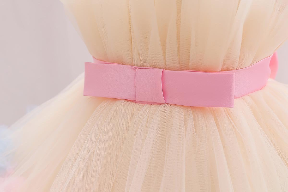 Tulle Color Dress