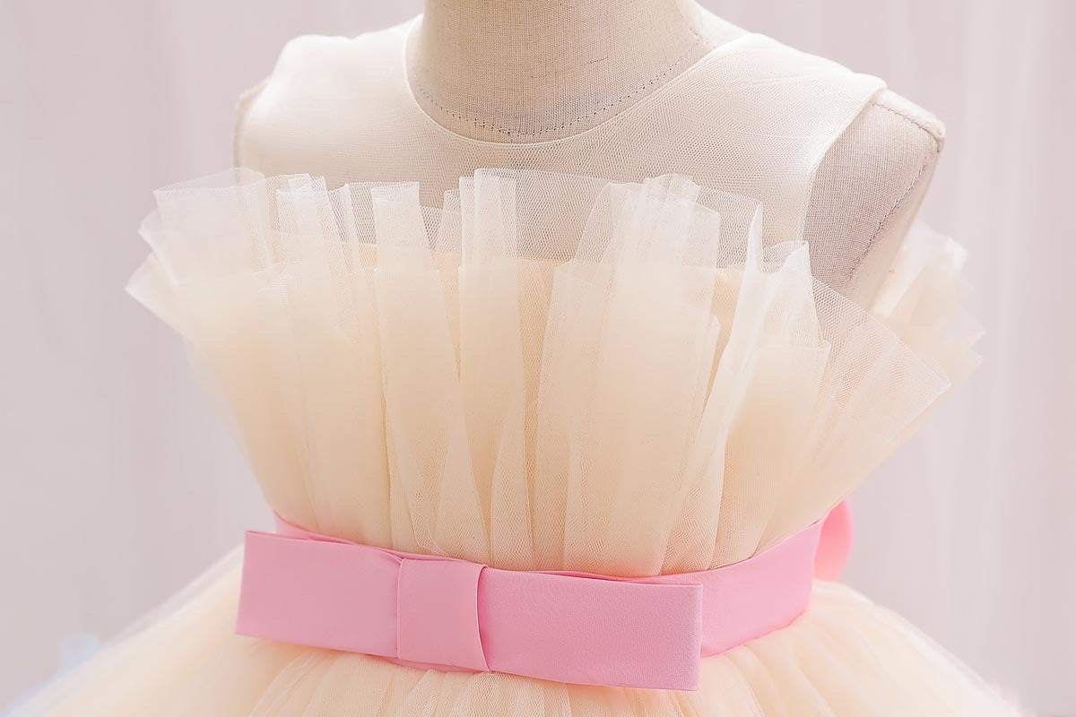 Tulle Color Dress